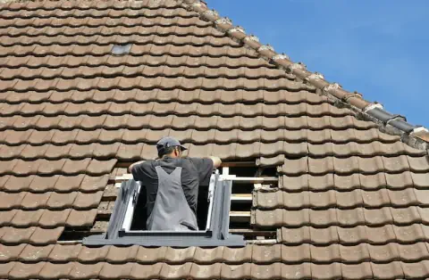 Pose de velux - Écully